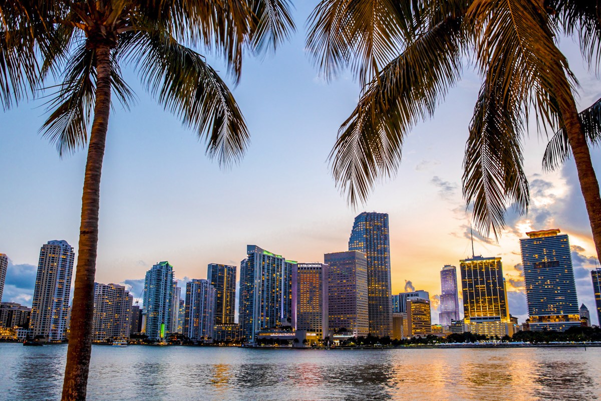 7 Off The Beaten Path Things To Do In Miami This Fall