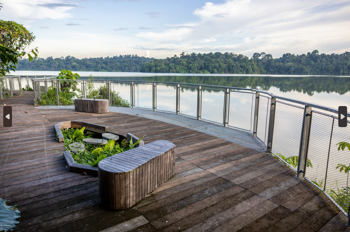 Names and identities unveiled for Singapore’s new offerings at the Mandai Wildlife Reserve